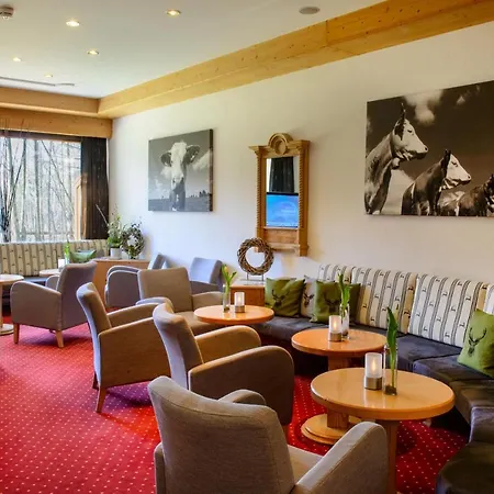 Arabella Brauneck 4*